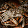 dsc09610jpg_13899808189_o.jpg